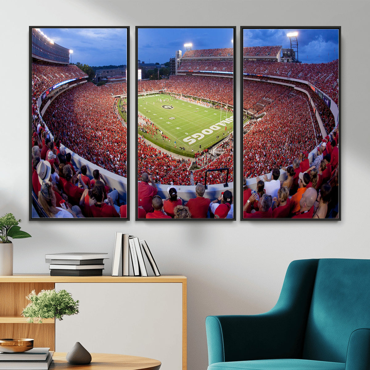 10244378-MGV-CV-36X24 - Dooley Stadium Wall Art, Sports Arena Canvas Print, Dooley Field, Home Bar Wall Decor