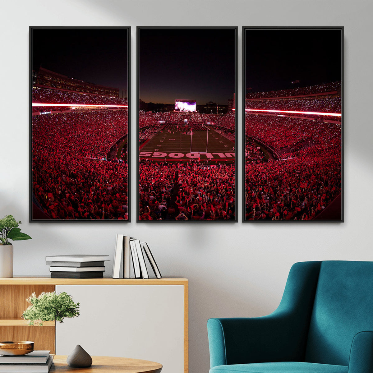 38331045-MGV-CV-36X24 - Dooley Stadium Wall Art, Sports Arena Canvas Print, Dooley Field Sanford Stadium