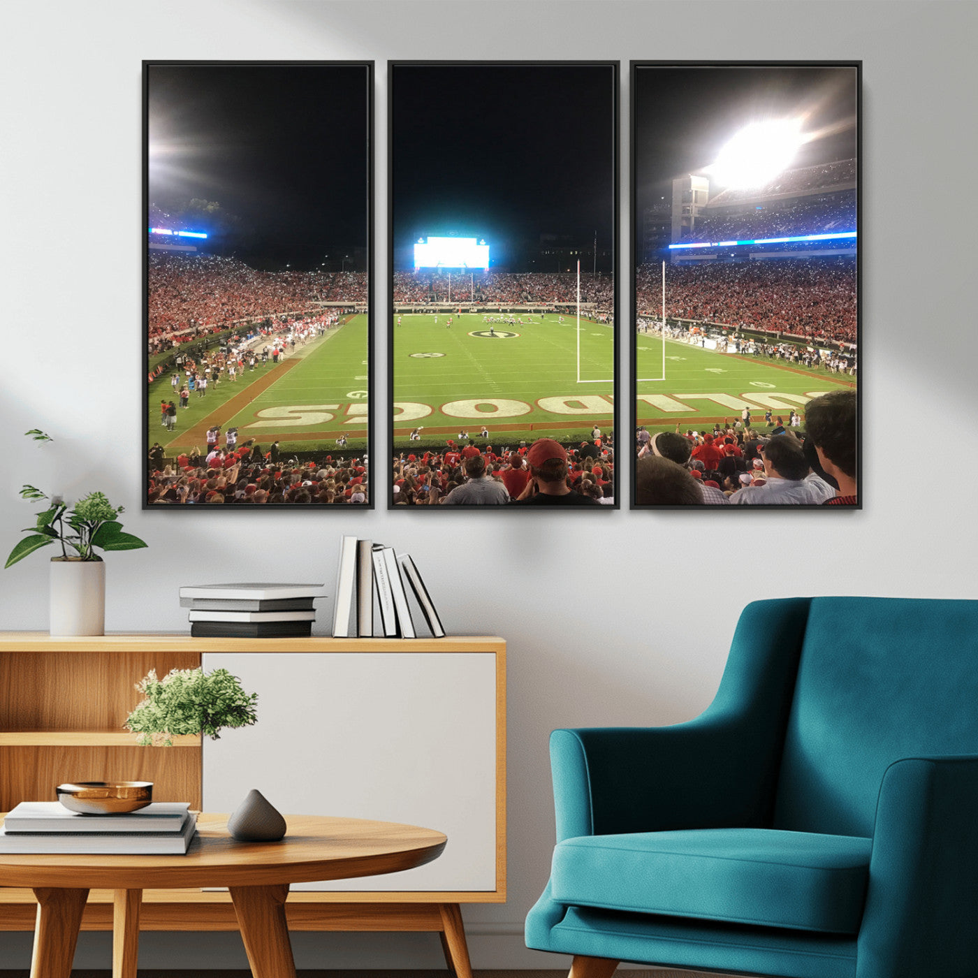 Dooley Stadium Wall Art Print, Sports Arena Canvas Wall Art, Panoramic Stadium Canvas Print, Modern Athletic Field Art Printing