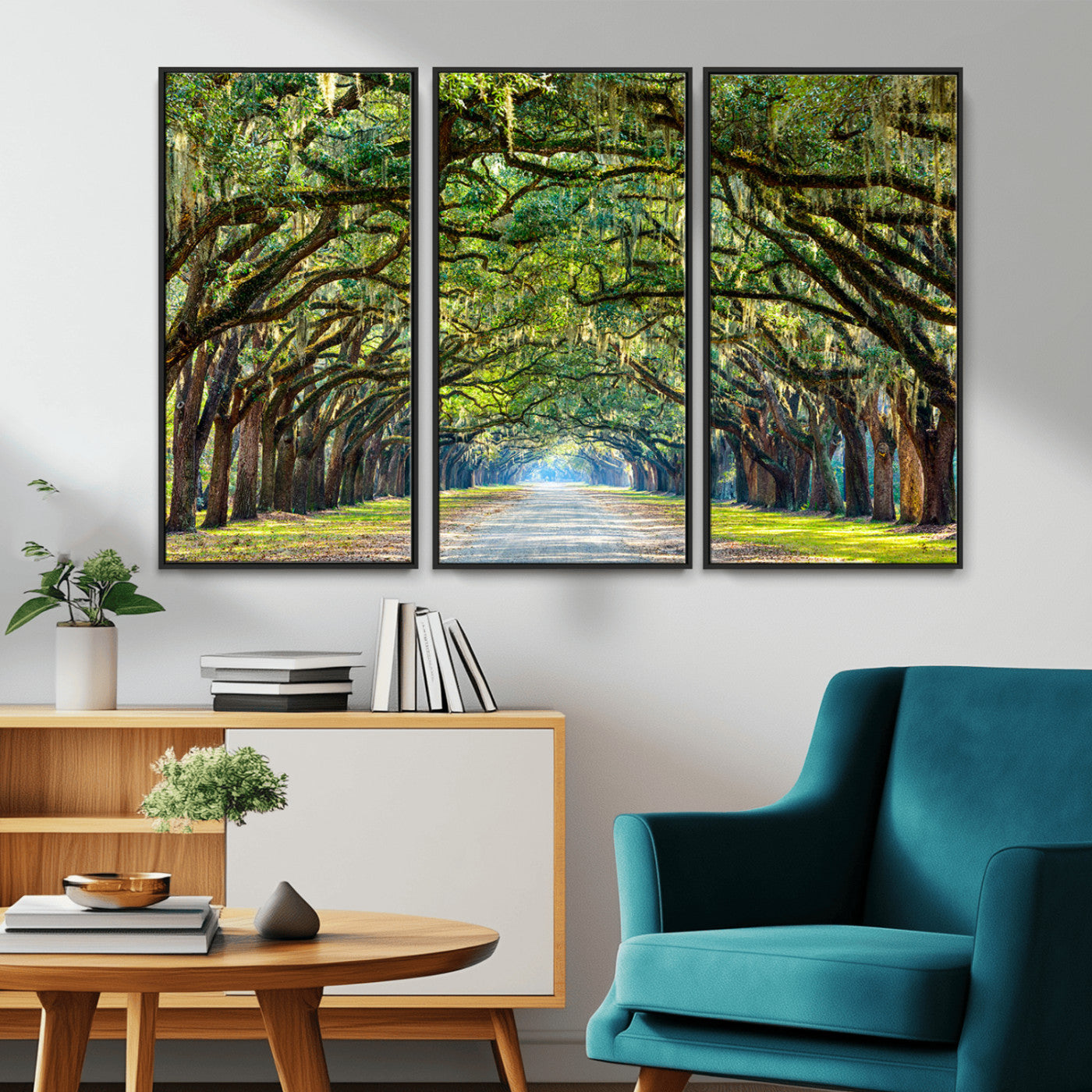 MGV-FC-48X32-3P - Wormsloe State Plantation Driveway Wall Art Canvas Print