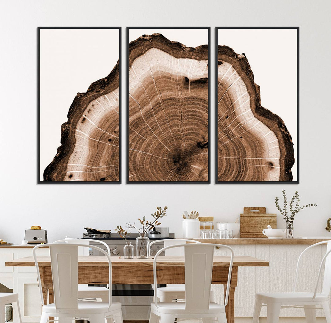 Close-up of the Rustic Wood Rings Wall Art featuring detailed tree rings and natural texture on a plain white background.