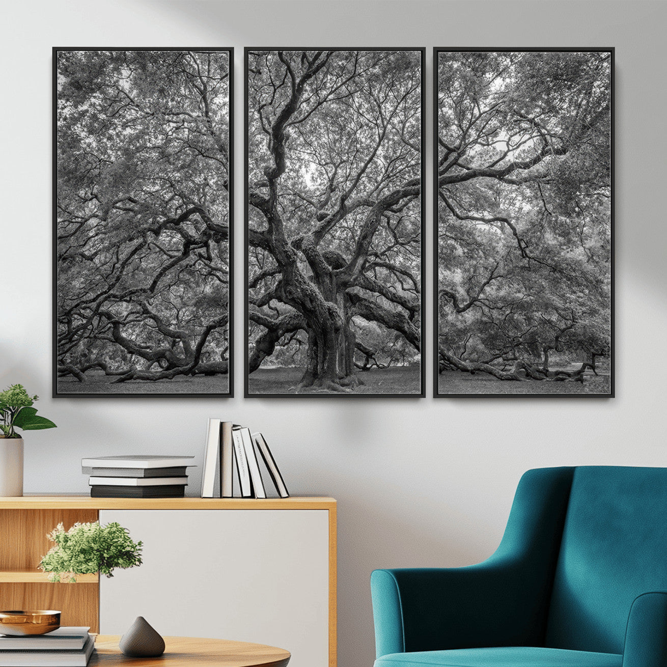 97240-MGV-CV-36X24 - Large Angel Oak Tree Black and White Canvas Print