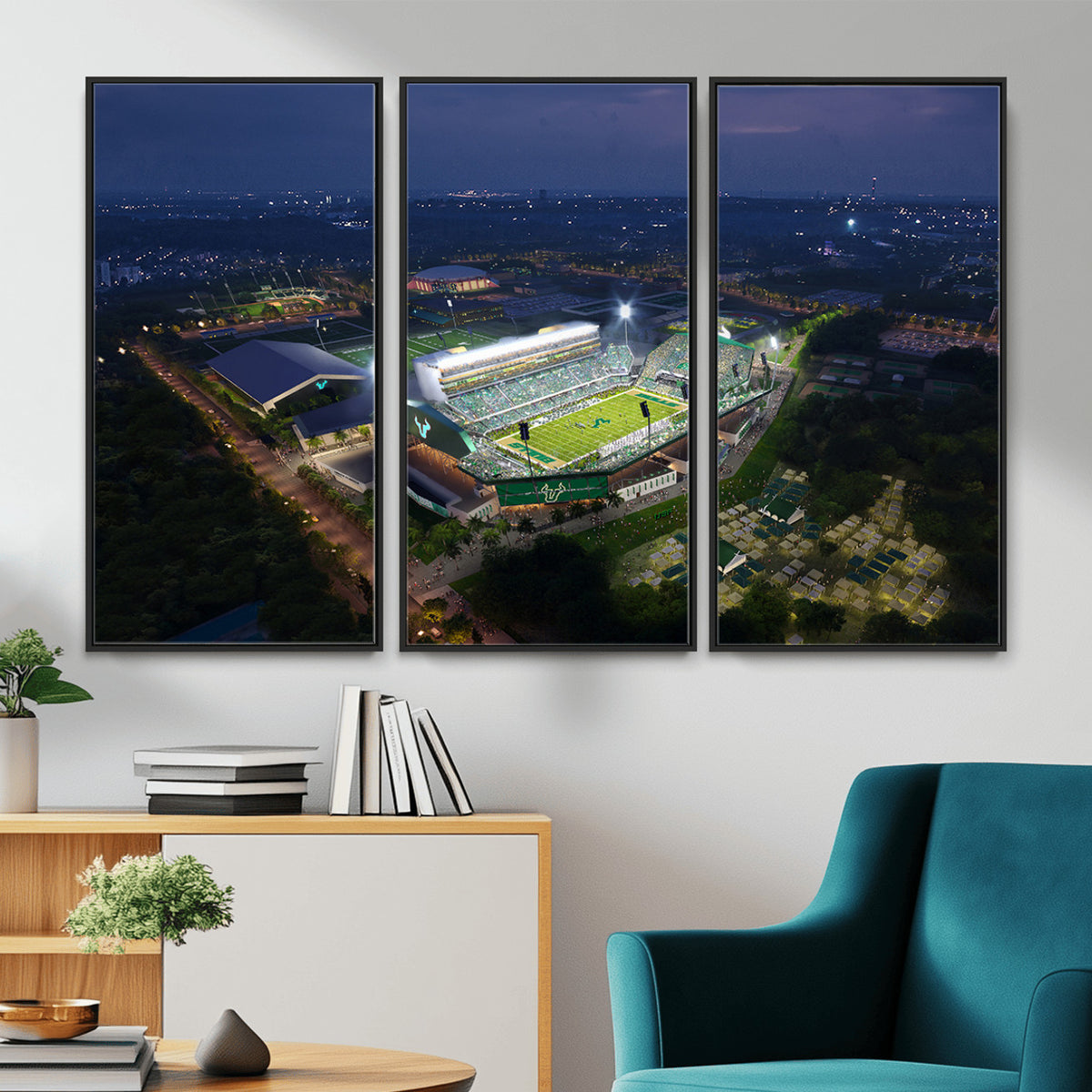 27554-MGV-CV-36X24 - The University of South Florida Bulls Football Team Print
