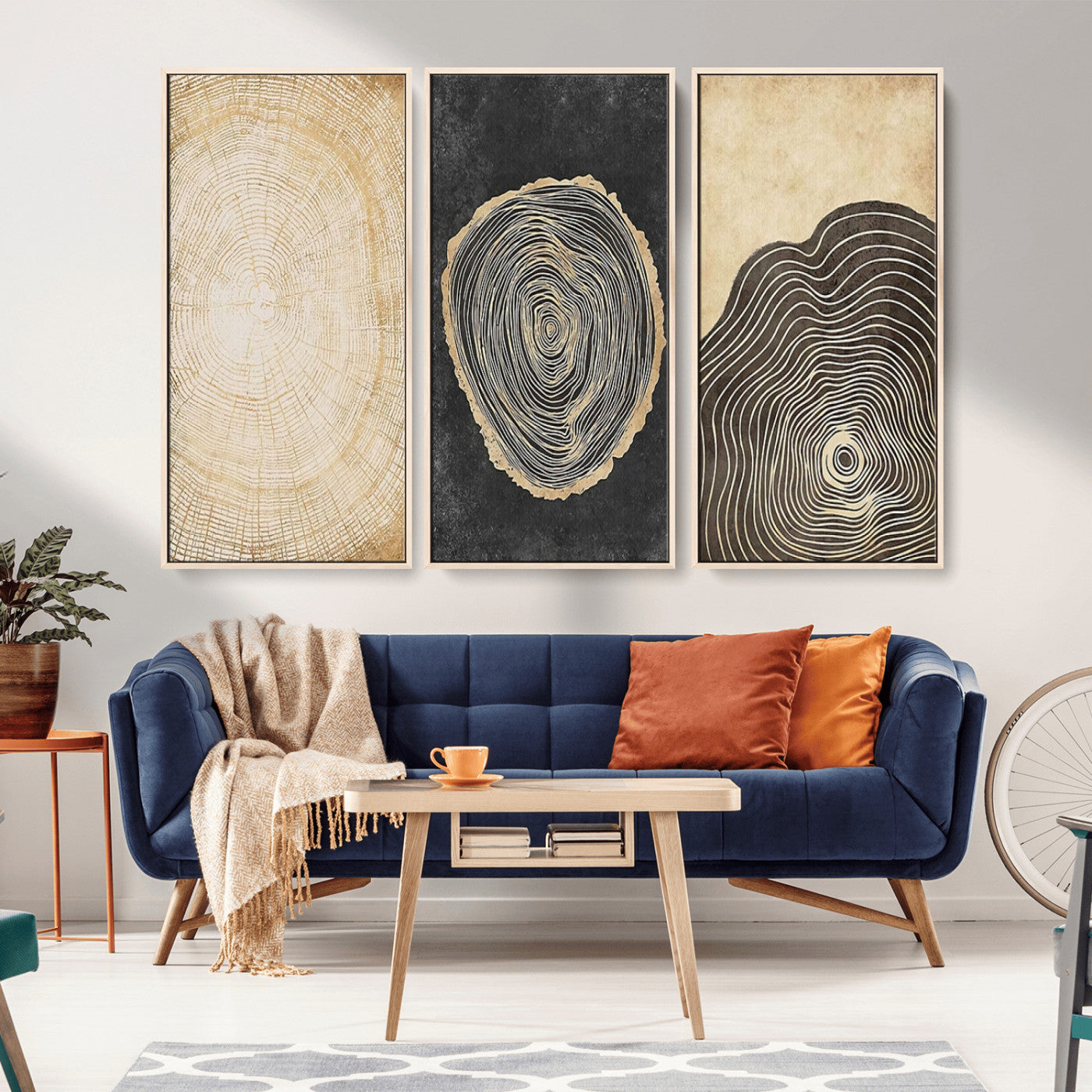 MGV-FC-48X32-3P - Tree Rings Canvas Wall Art Print – Minimalist Natural History in Modern Decor - Minimalist Boho Wall