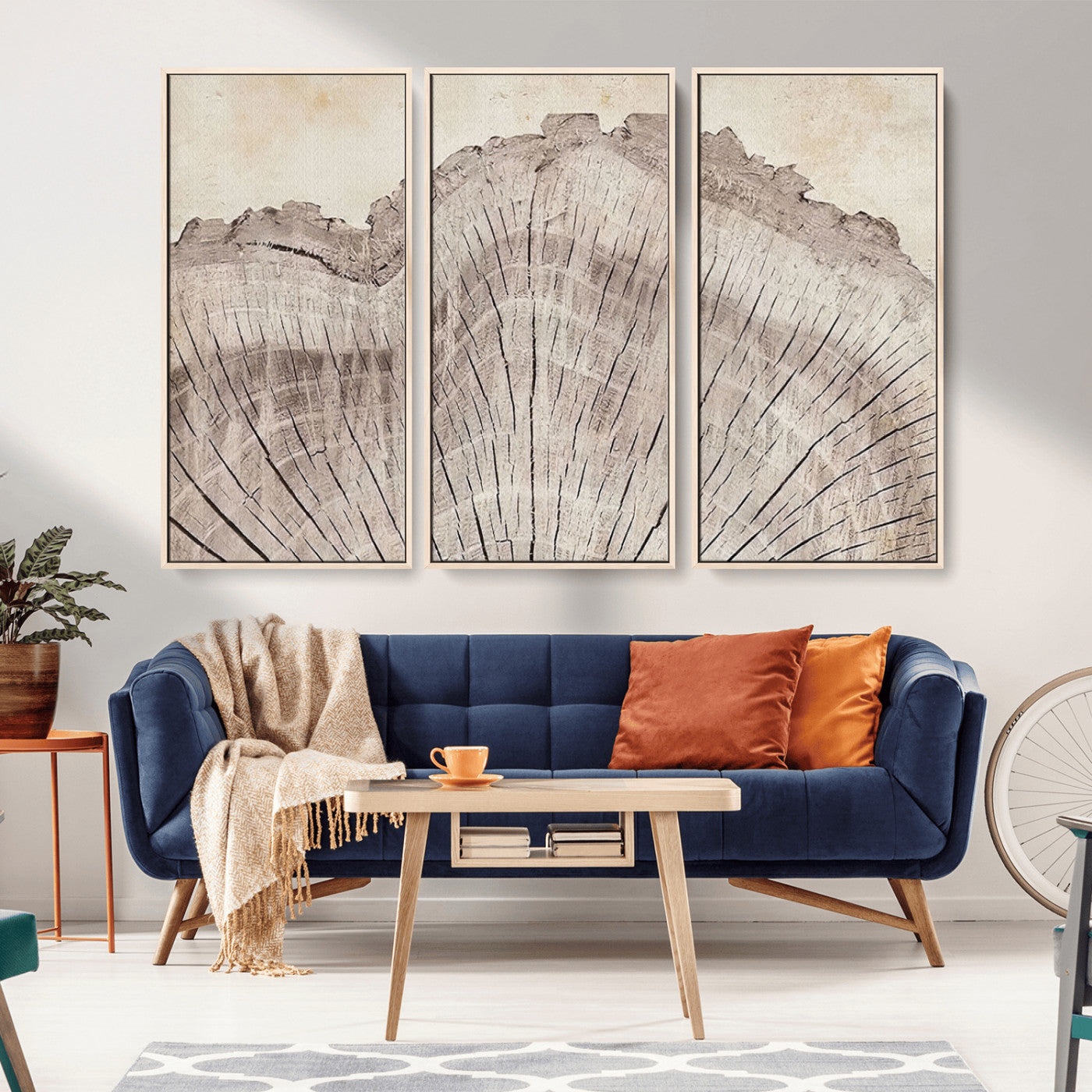 MGV-FC-48X32-3P - Tree Ring Wall Art Triptych, Rustic Wood Ring Canvas Print, Minimalist Wall Decor for Modern Homes and Farmhouse Decor