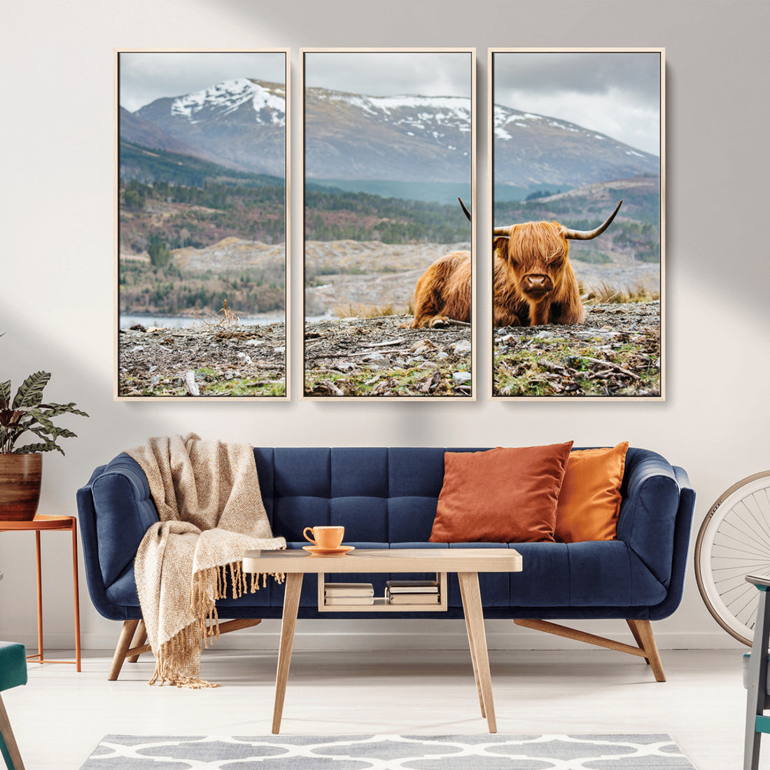 Highland Cow Horn Farm Wall Art Canvas Print