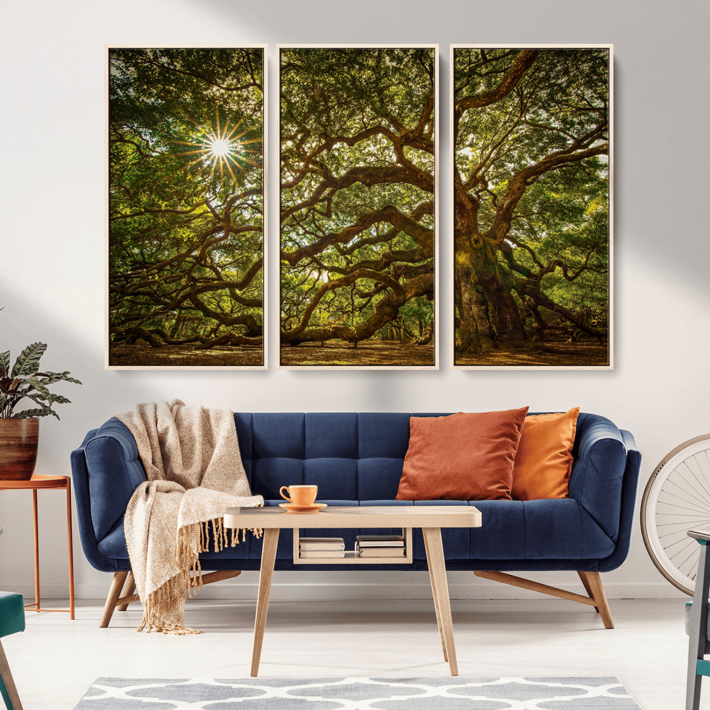 MGV-FC-48X32-3P - Ancient Angel Oak Tree Art Sunburst Canvas Print- Nature-Inspired Triptych Canvas Print, Framed, Ready to Hang