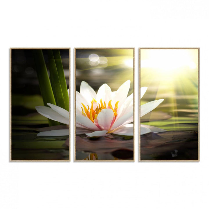 The Lotus Flower Wall Art Canvas Print showcases a white water lily with a yellow center floating gracefully in sunlight.