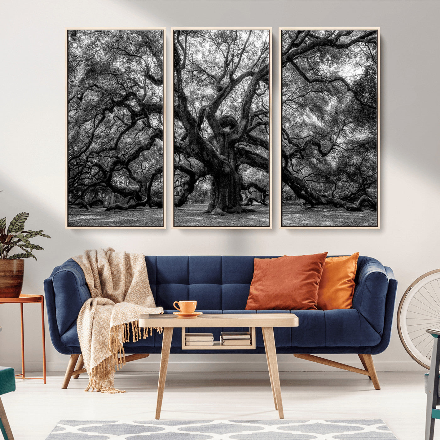 MGV-FC-48X32-3P - Black and White Old Angel Oak Tree Wall Art Canvas Print
