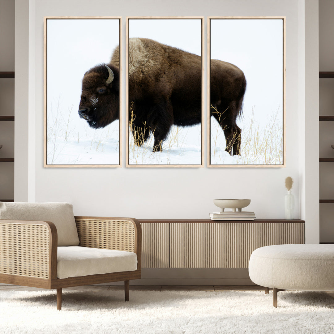 Bison Photography Wall Art Canvas Print, Framed Western Wildlife Art Picture Print, Buffalo On Snow Perfect Western Decor Artwork