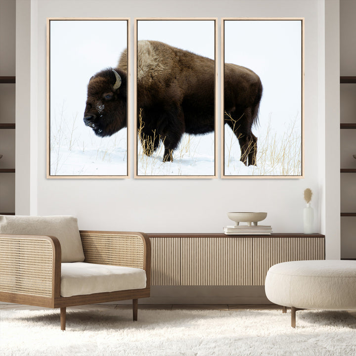 Bison Photography Wall Art Canvas Print, Framed Western Wildlife Art Picture Print, Buffalo On Snow Perfect Western Decor Artwork