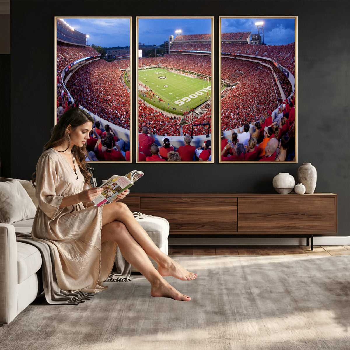 10244378-MGV-CV-36X24 - Dooley Stadium Wall Art, Sports Arena Canvas Print, Dooley Field, Home Bar Wall Decor