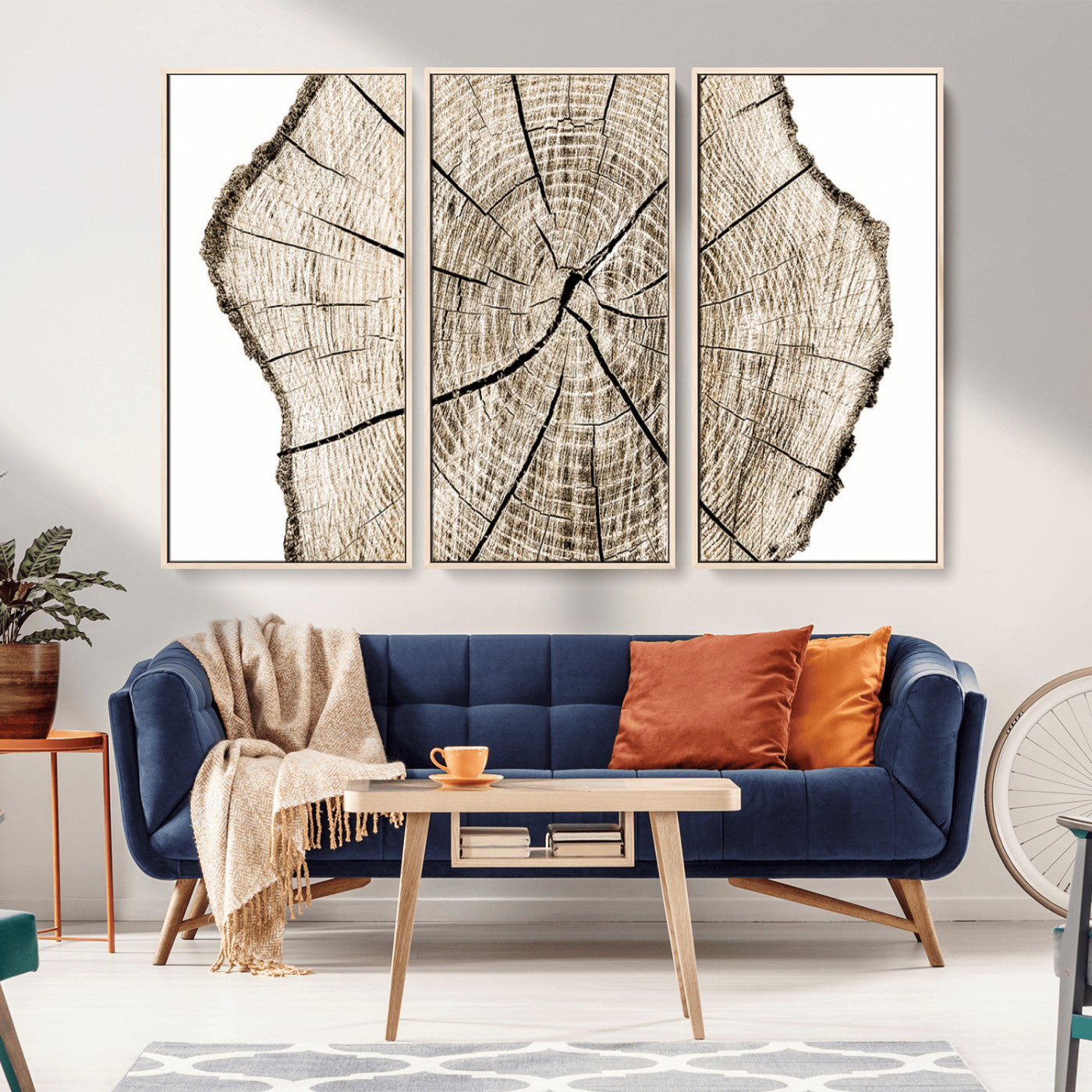 MGV-FC-48X32-3P - Abstract Wood Tree Ring Wall Art - Ready to Hang Minimalist Wooden Design for Rustic & Contemporary