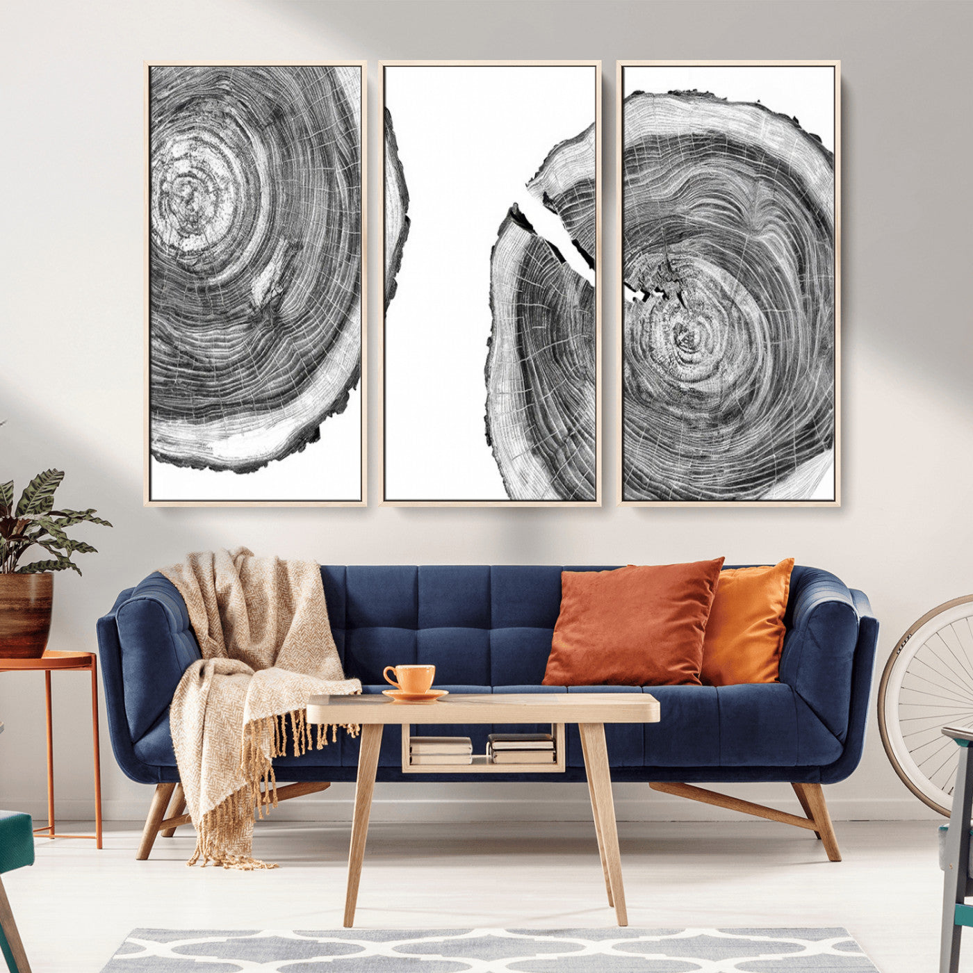 MGV-FC-48X32-3P - Modern Black and White Tree Rings Canvas Wall Art – Nature Inspired Wood Slice Print – Minimalist
