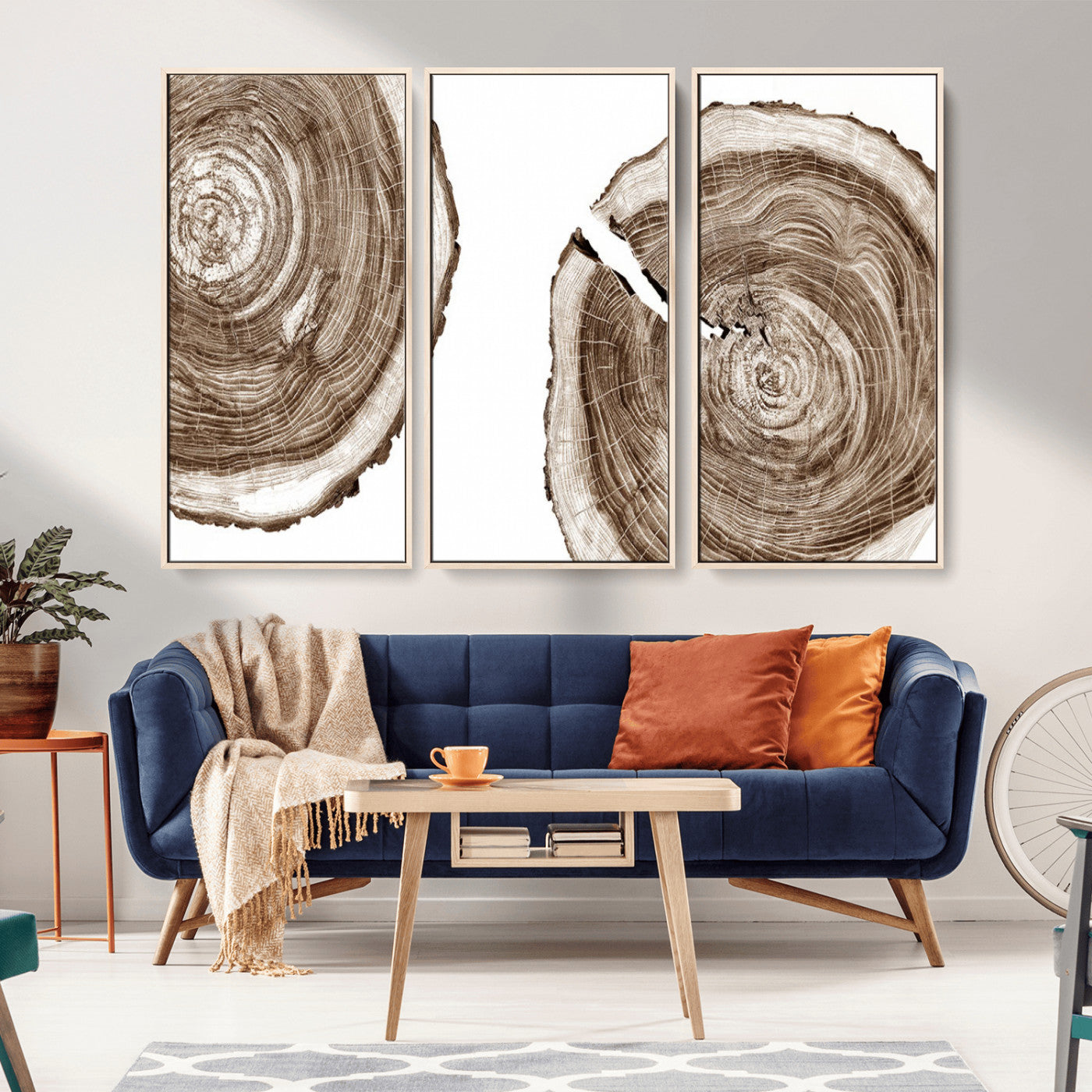 MGV-FC-48X32-3P - Wood Tree Ring Wall Art Canvas Prints, Tree Rings – Minimalist Black and White Wood Art | Triptych