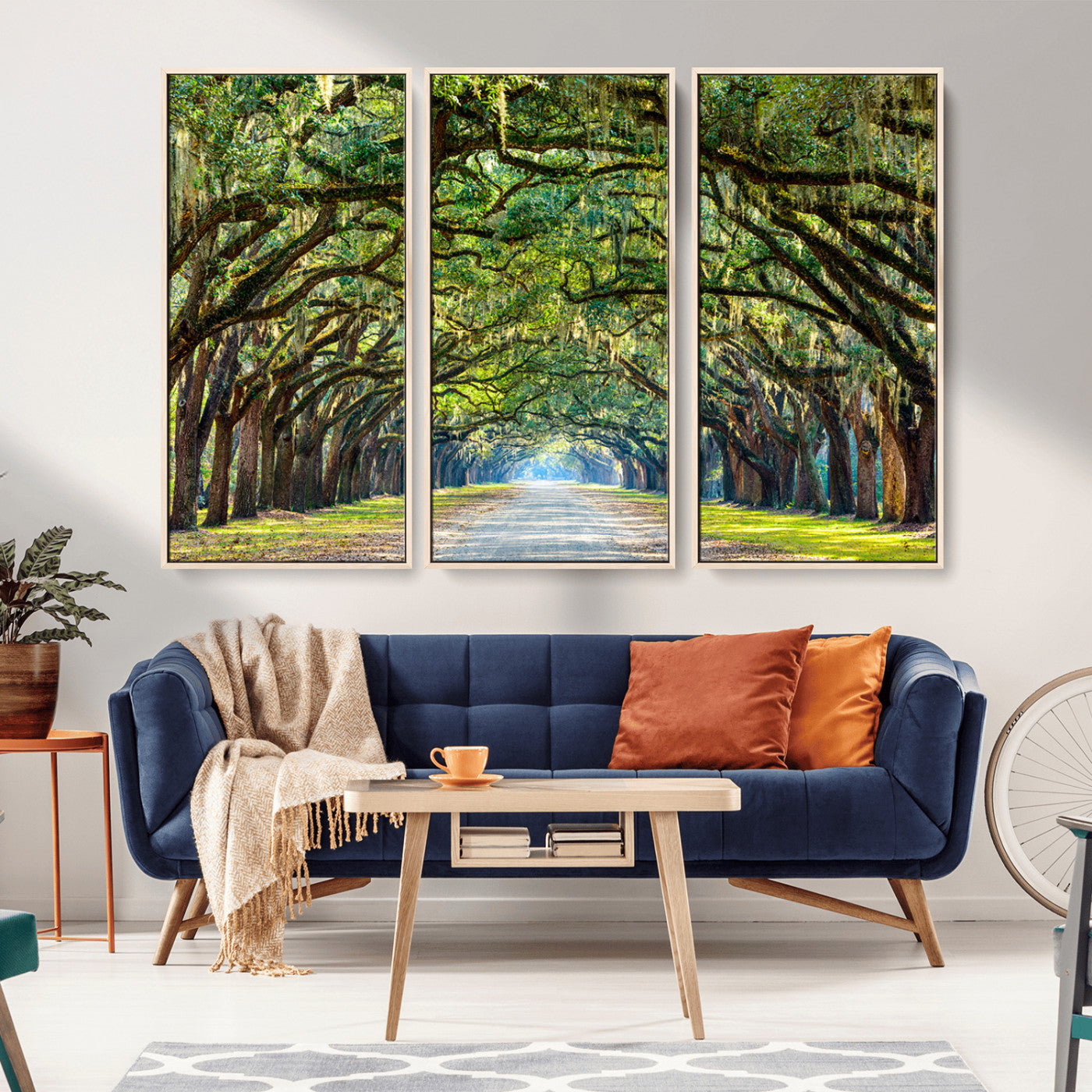 MGV-FC-48X32-3P - Wormsloe State Plantation Driveway Wall Art Canvas Print