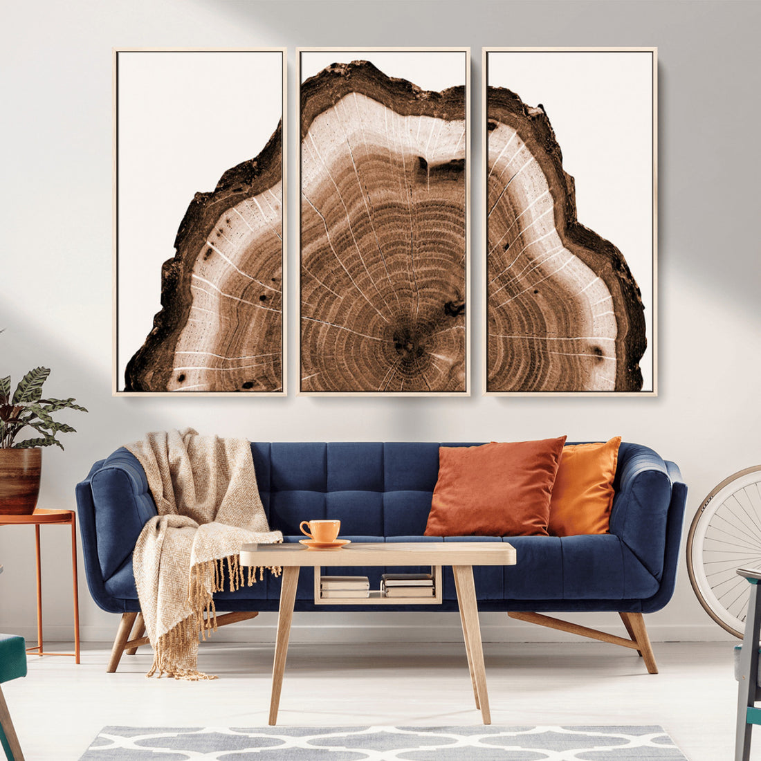 Rustic Wood Rings Wall Art, Nature-Inspired Tree Ring Canvas Print