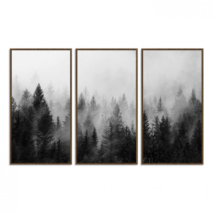 Fogy Forest Canvas Art features misty pines and a mountain landscape.