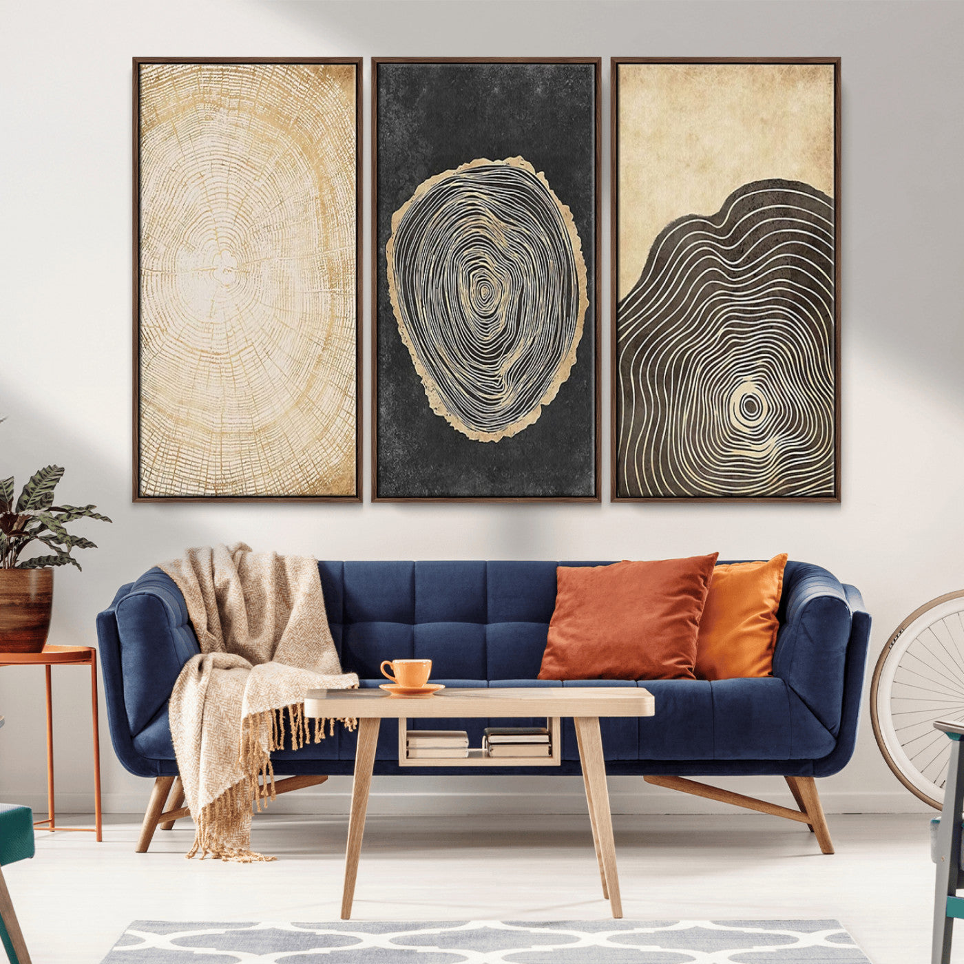 MGV-FC-48X32-3P - Tree Rings Canvas Wall Art Print – Minimalist Natural History in Modern Decor - Minimalist Boho Wall