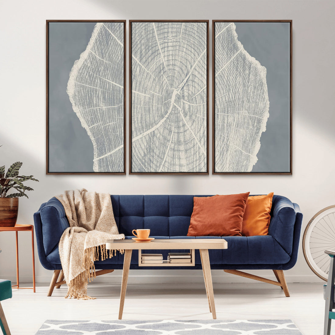 Abstract Tree Ring Wall Art Canvas Print, Framed and Ready to Hang