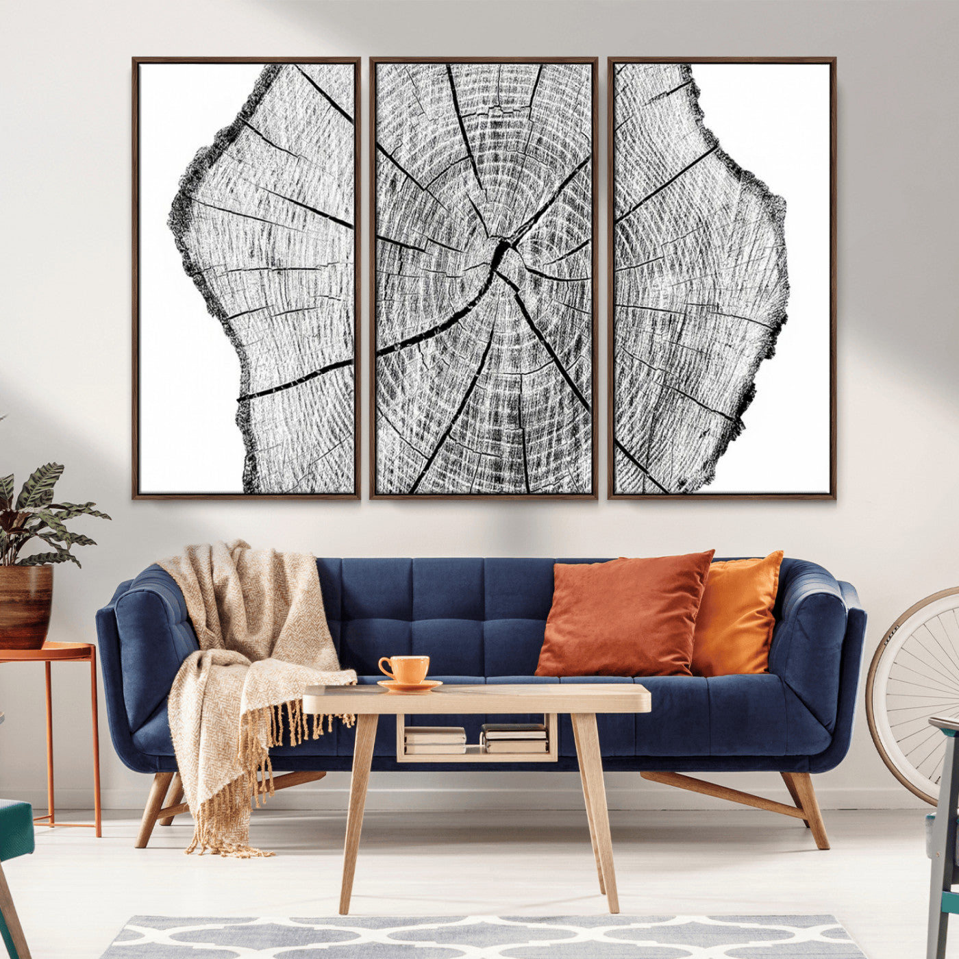 -Rustic Tree Ring Wall Art Canvas Print – Framed and Ready to Hang – Perfect for Nature-Inspired and