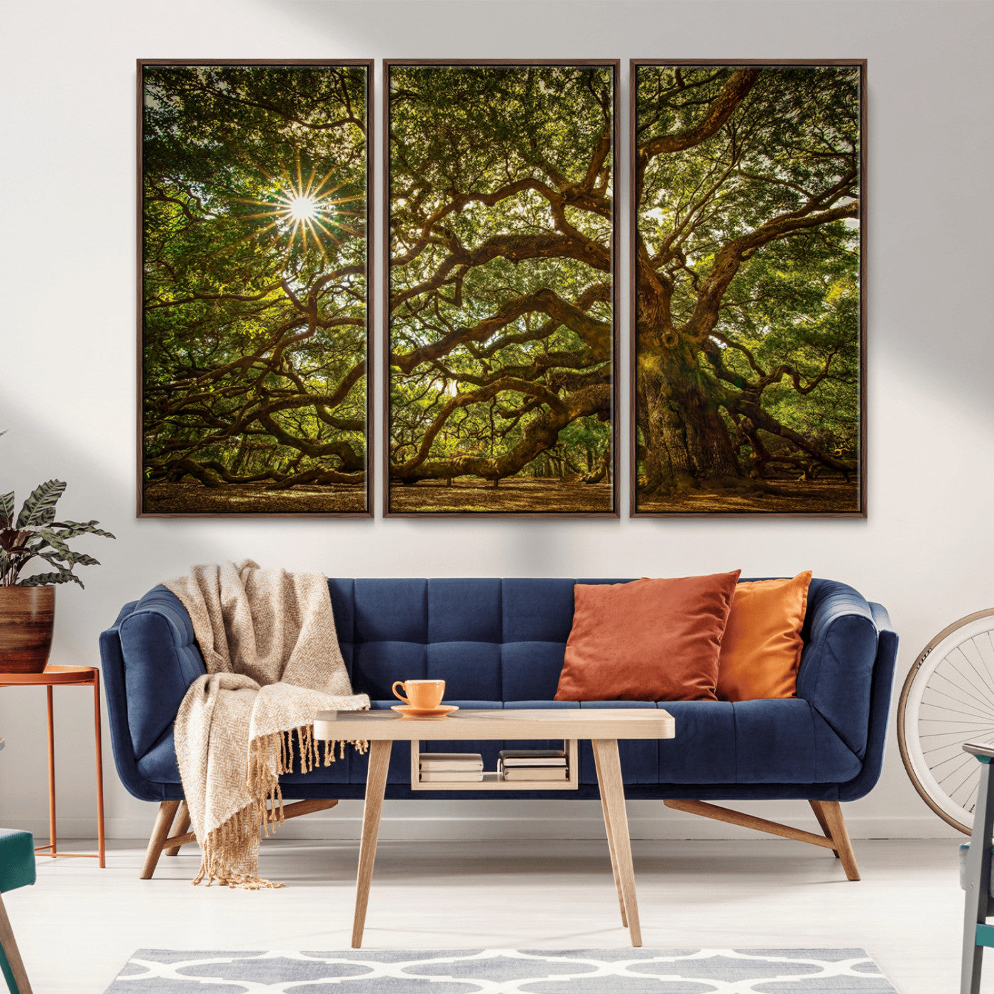 MGV-FC-48X32-3P - Ancient Angel Oak Tree Art Sunburst Canvas Print- Nature-Inspired Triptych Canvas Print, Framed, Ready to Hang