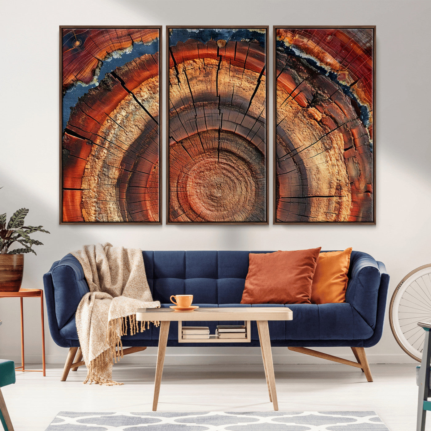 MGV-FC-48X32-3P - Abstract Tree Ring Art, Colorful Tree Ring Wall Decor, Minimalist Home Canvas Art, Modern Farmhouse