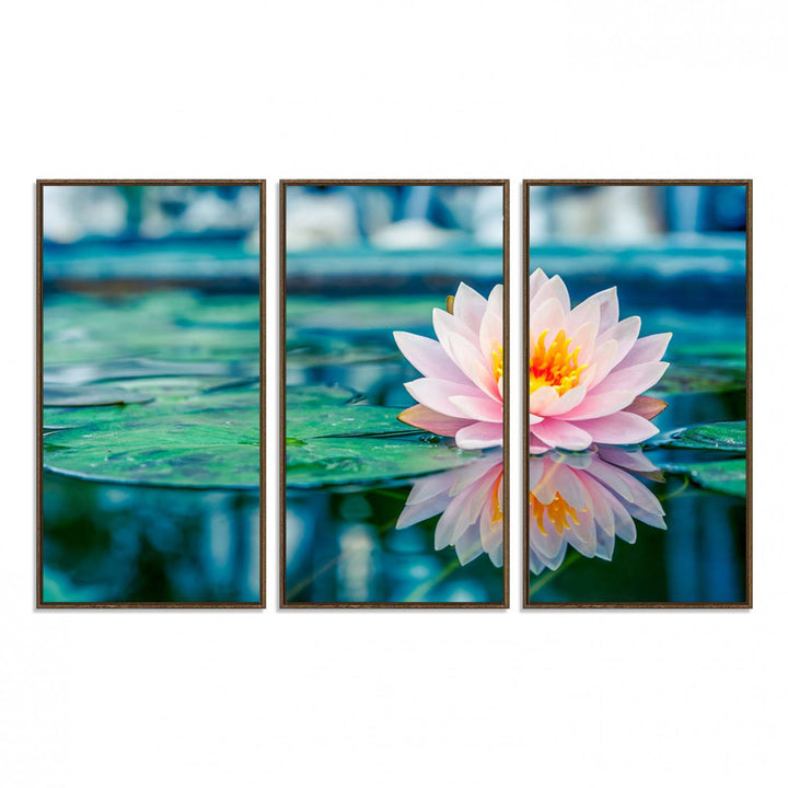 The Lotus Flower Canvas Print showcases a pink water lily with a yellow center gracefully floating on a calm pond.