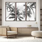 Edit-Images-Black and White Palm Tree Wall Art – Monochrome Tropical Canvas Print for Coastal or Minimalist Living Room Decor
