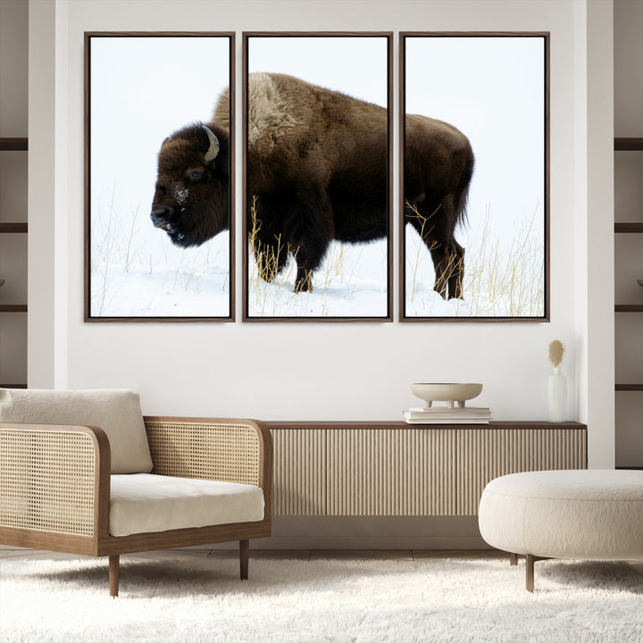 Bison Photography Wall Art Canvas Print, Framed Western Wildlife Art Picture Print, Buffalo On Snow Perfect Western Decor Artwork