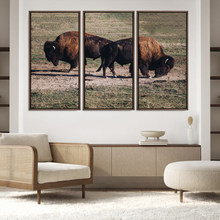 Bison Photography Wall Art Canvas Print, Framed Western Wildlife Art Picture Print, Modern Ranch Perfect Western Rustic Decor Artwork