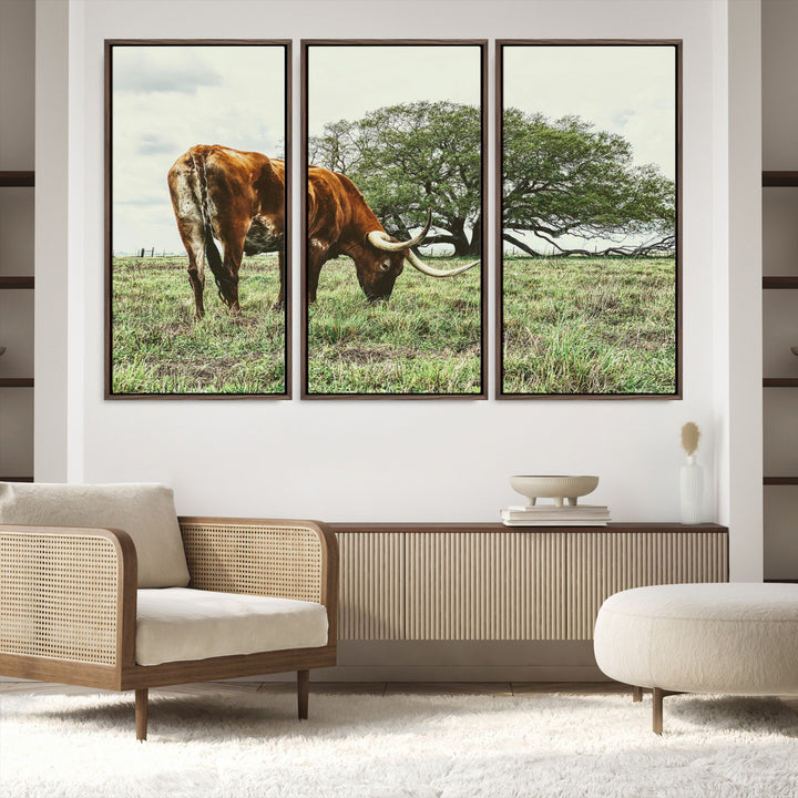 A Texas Longhorn grazing in a green pasture with a large tree in the background, evoking a rustic Western and farmhouse aesthetic.
