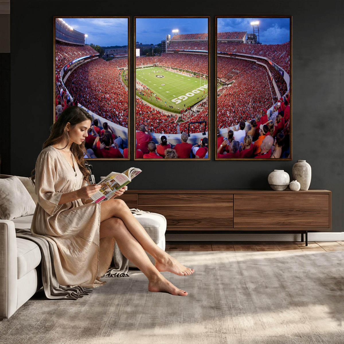 10244378-MGV-CV-36X24 - Dooley Stadium Wall Art, Sports Arena Canvas Print, Dooley Field, Home Bar Wall Decor