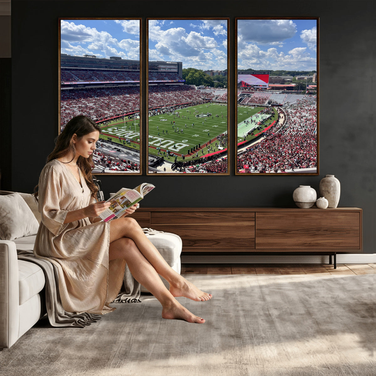 10665453-MGV-CV-36X24 - Georgia Bulldogs Stadium Wall Art Canvas Print, Sanford, Framed and Ready to Hang