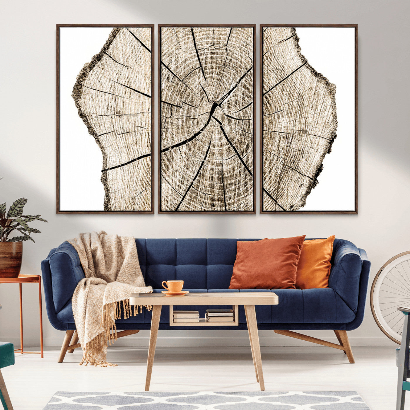MGV-FC-48X32-3P - Abstract Wood Tree Ring Wall Art - Ready to Hang Minimalist Wooden Design for Rustic & Contemporary