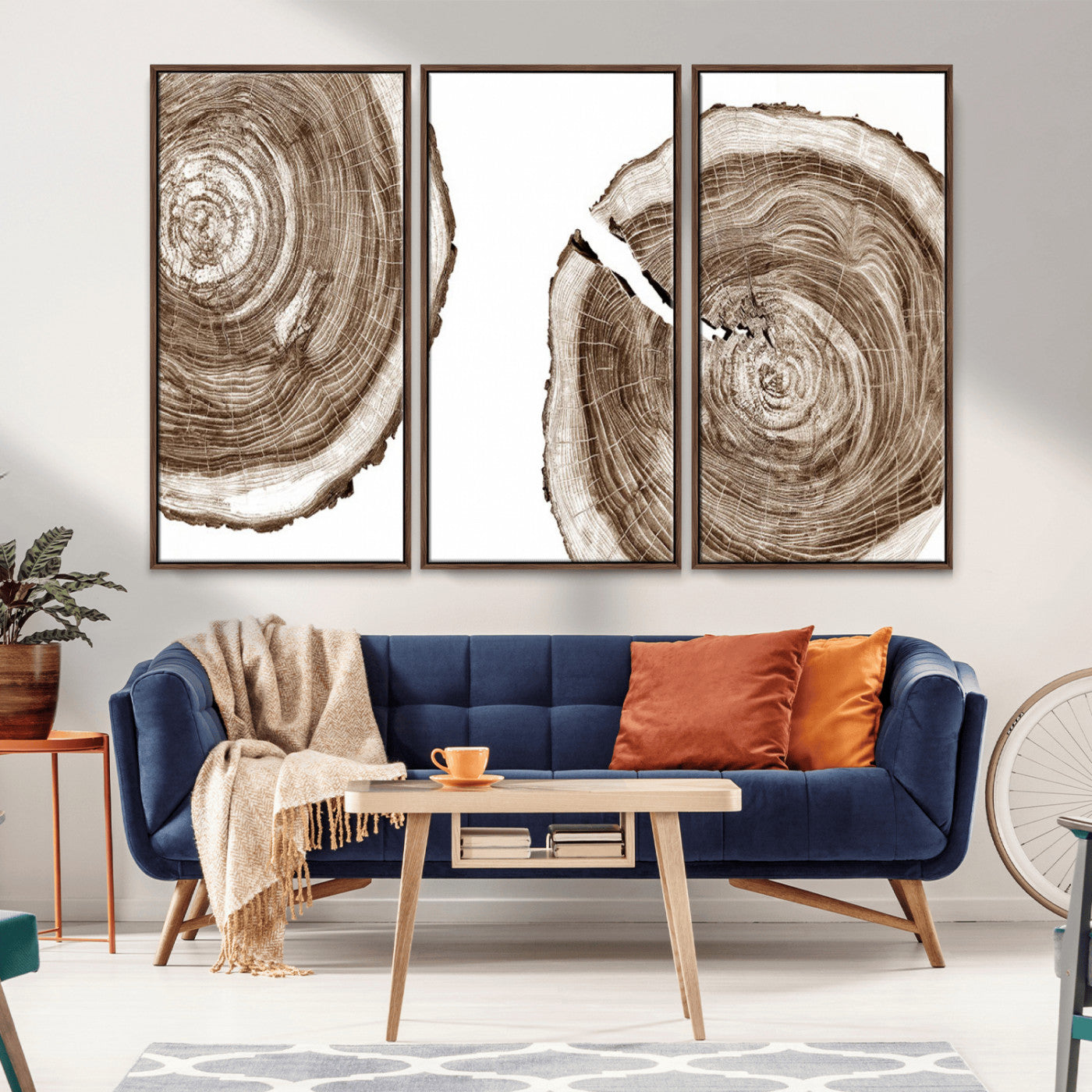 MGV-FC-48X32-3P - Wood Tree Ring Wall Art Canvas Prints, Tree Rings – Minimalist Black and White Wood Art | Triptych