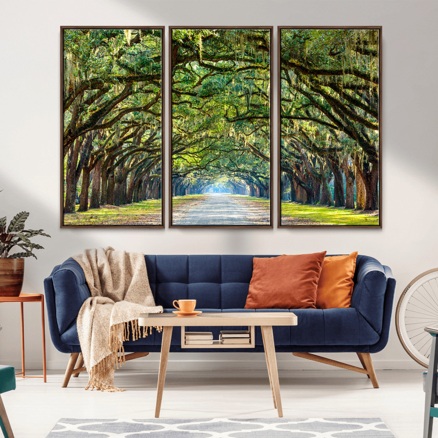 MGV-FC-48X32-3P - Wormsloe State Plantation Driveway Wall Art Canvas Print