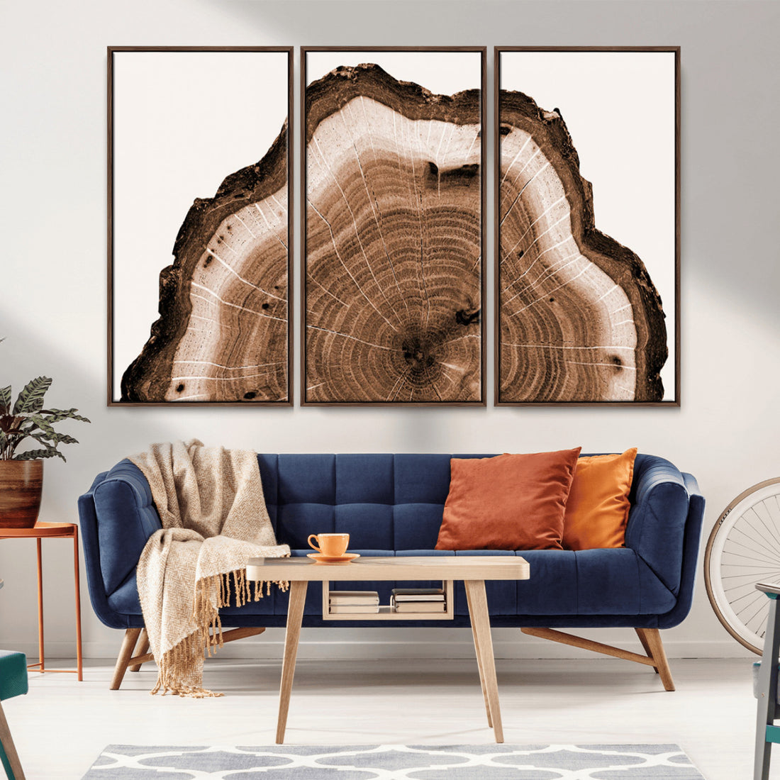 Rustic Wood Rings Wall Art, Nature-Inspired Tree Ring Canvas Print