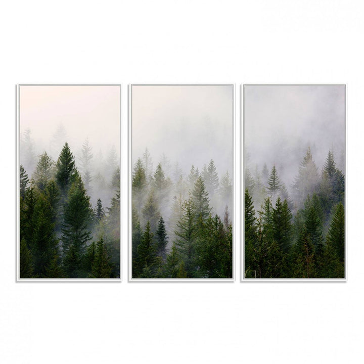 A serene, foggy evergreen forest creates a mysterious atmosphere, ideal for premium canvas wall art.