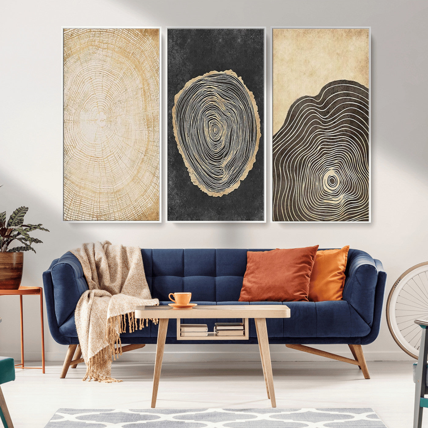 MGV-FC-48X32-3P - Tree Rings Canvas Wall Art Print – Minimalist Natural History in Modern Decor - Minimalist Boho Wall