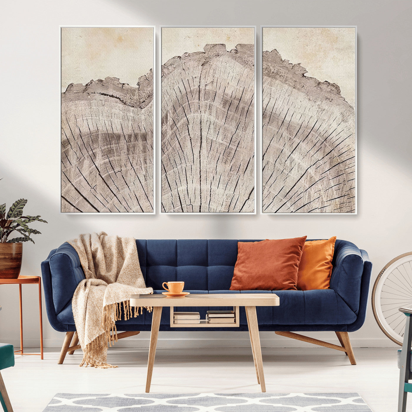 MGV-FC-48X32-3P - Tree Ring Wall Art Triptych, Rustic Wood Ring Canvas Print, Minimalist Wall Decor for Modern Homes and Farmhouse Decor