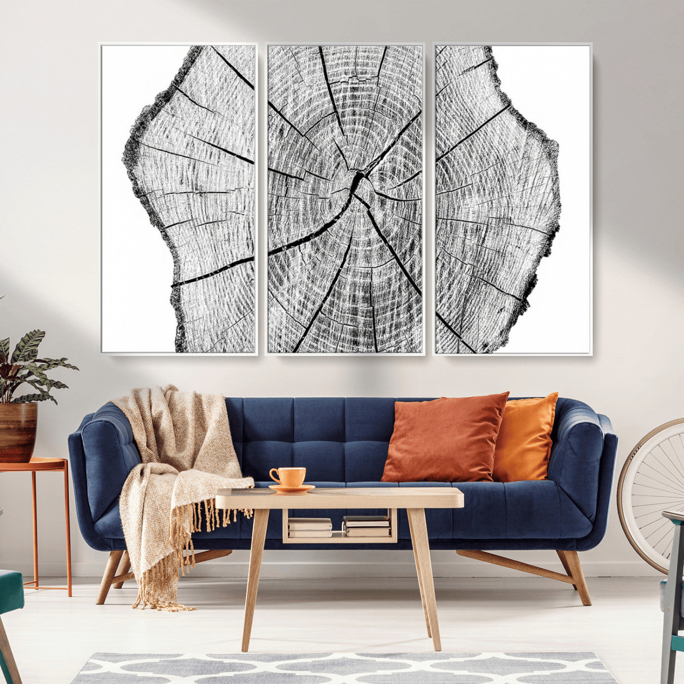 -Rustic Tree Ring Wall Art Canvas Print – Framed and Ready to Hang – Perfect for Nature-Inspired and