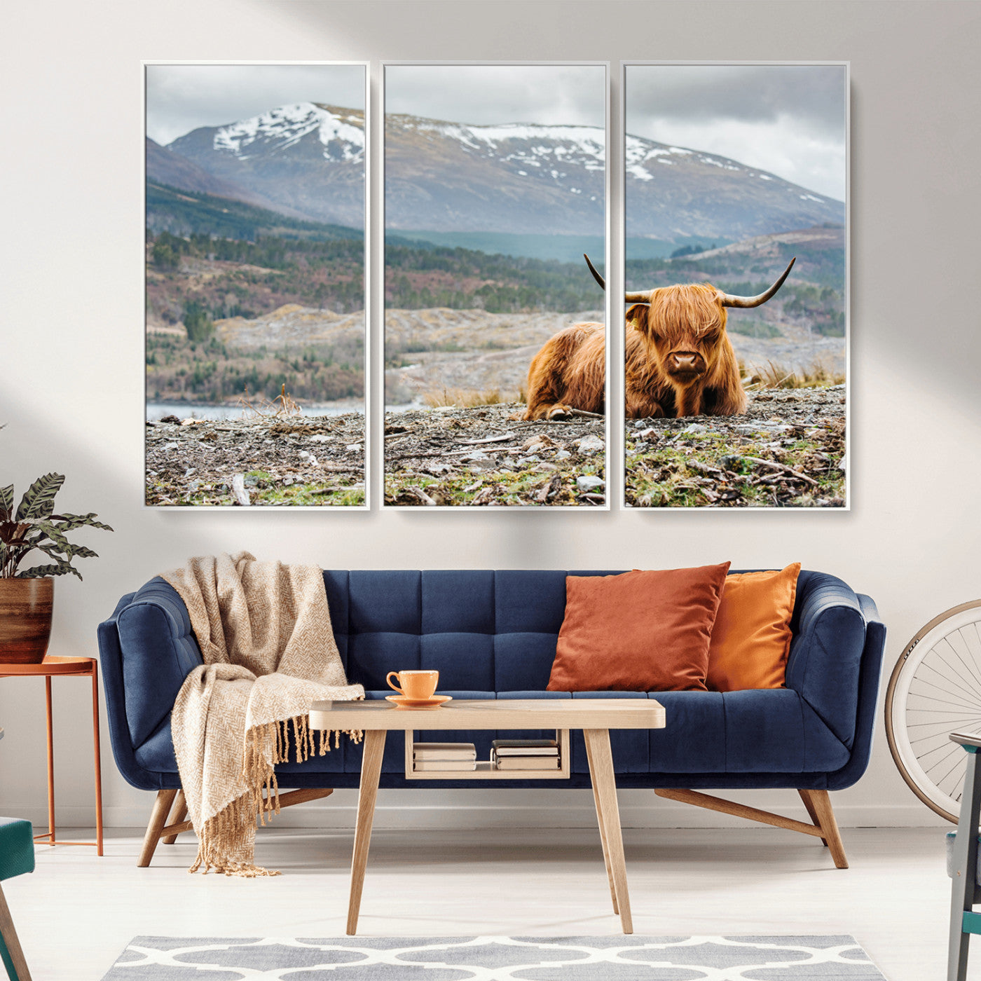 -Highland Cow Horn Farm Wall Art Canvas Print