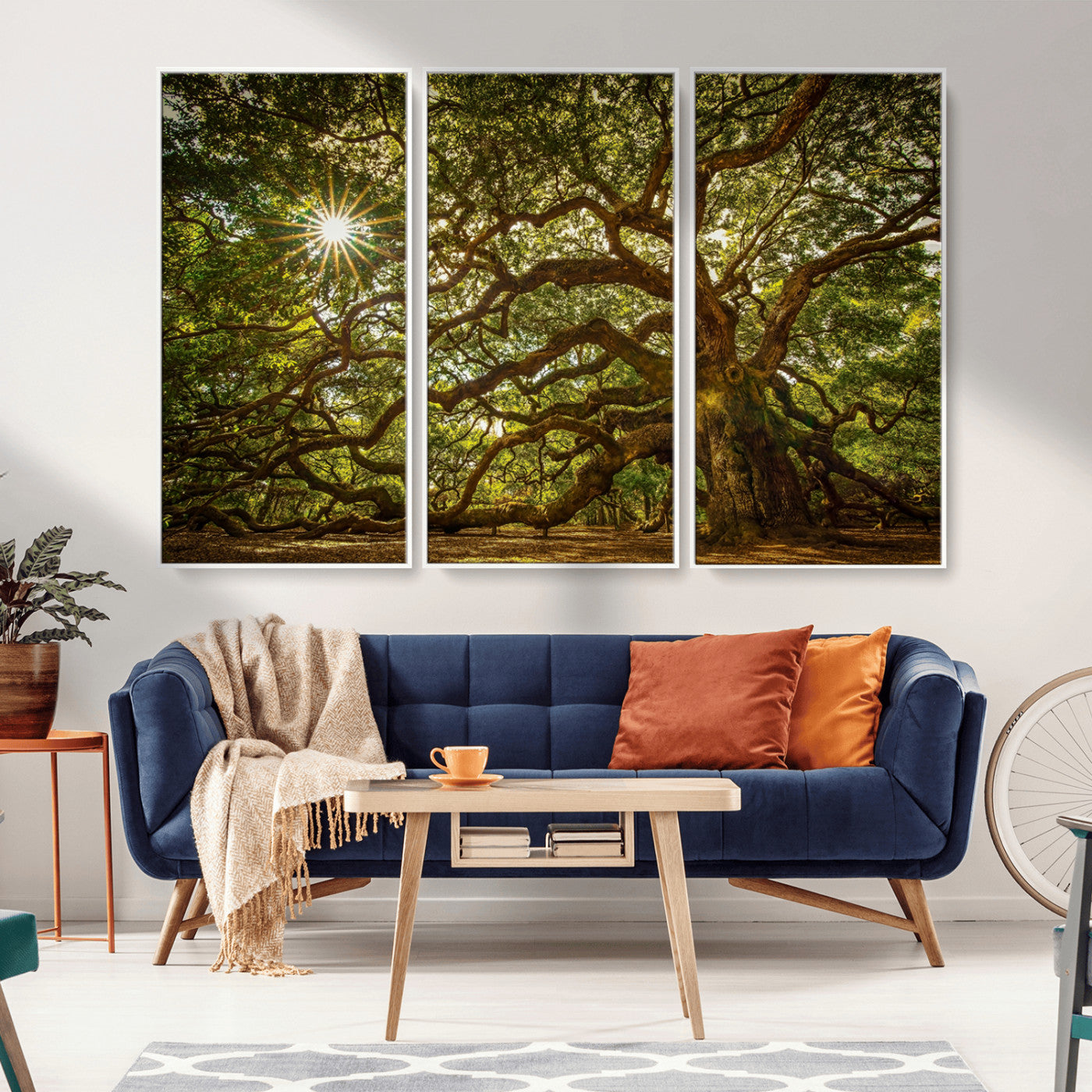 MGV-FC-48X32-3P - Ancient Angel Oak Tree Art Sunburst Canvas Print- Nature-Inspired Triptych Canvas Print, Framed, Ready to Hang