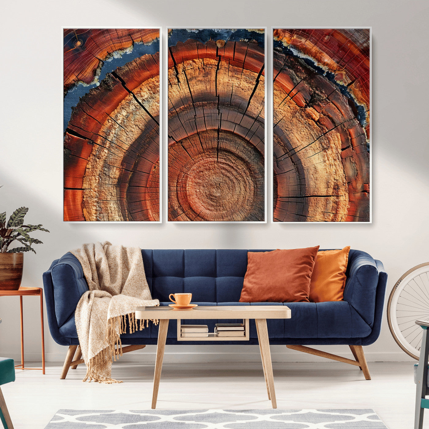MGV-FC-48X32-3P - Abstract Tree Ring Art, Colorful Tree Ring Wall Decor, Minimalist Home Canvas Art, Modern Farmhouse