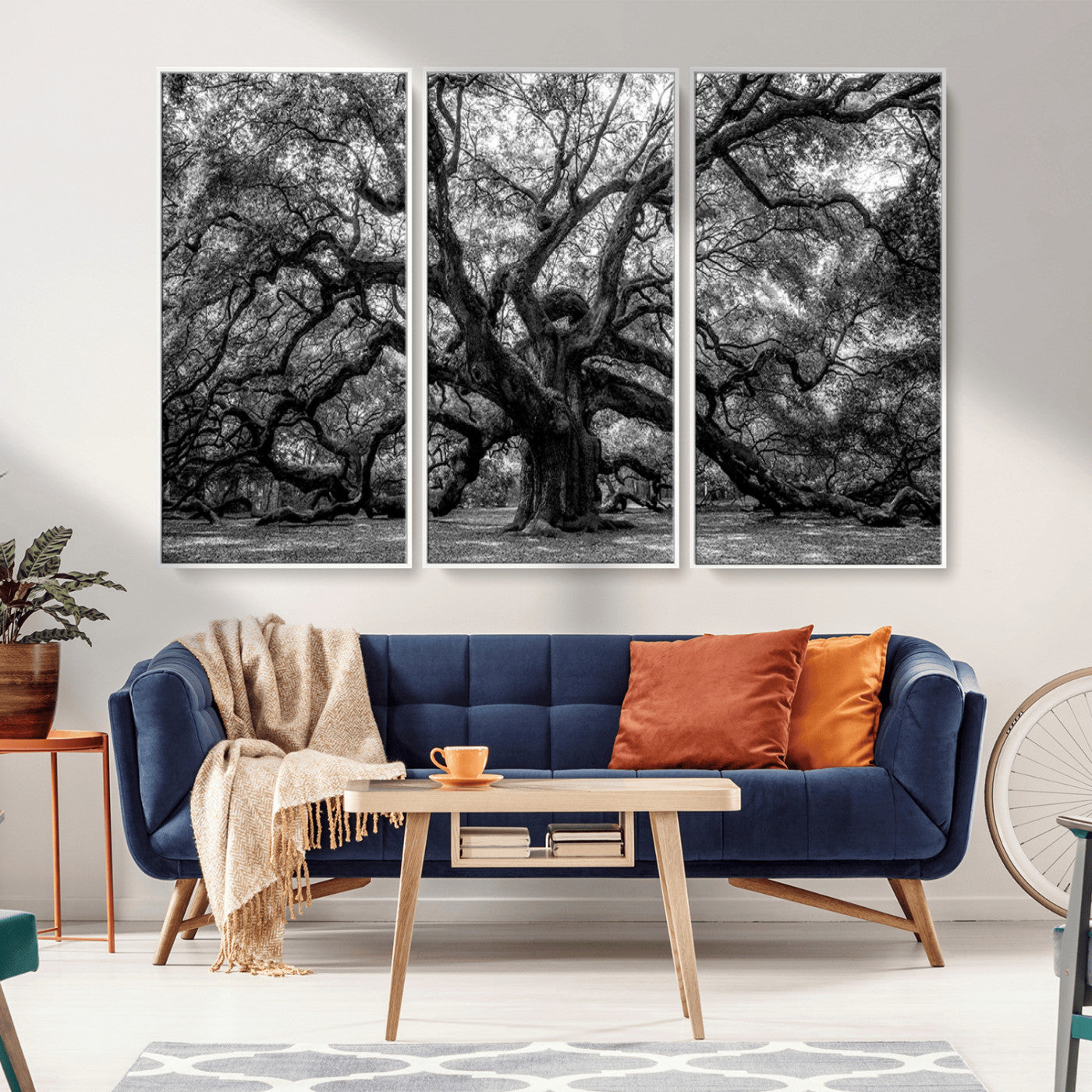 MGV-FC-48X32-3P - Black and White Old Angel Oak Tree Wall Art Canvas Print