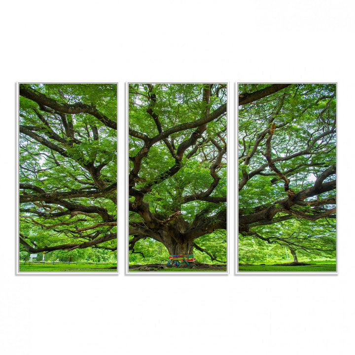 Framed Angel Oak Tree print featuring sprawling branches and ribbons against a clear sky backdrop, ideal for home or office decor.