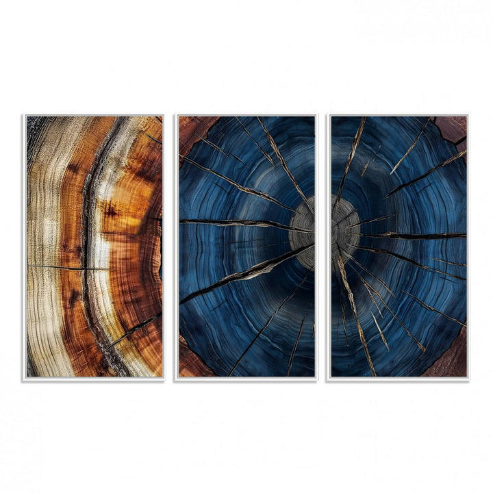 The Abstract Tree Rings Canvas Print features blue, brown, and orange rings that highlight wood grain and natures beauty.