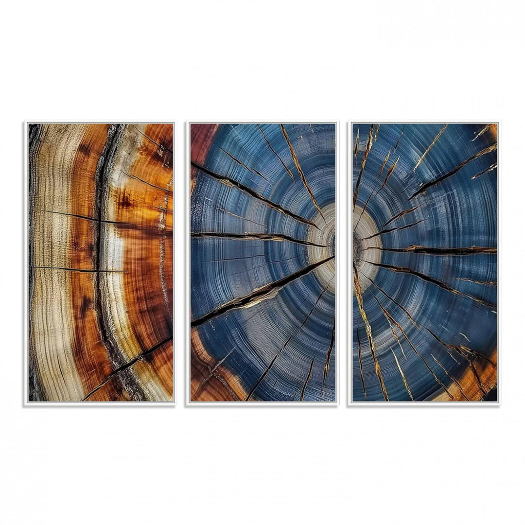 Close-up of blue, brown, and orange wood grain rings on the Abstract Tree Rings Canvas Wall Art Print.