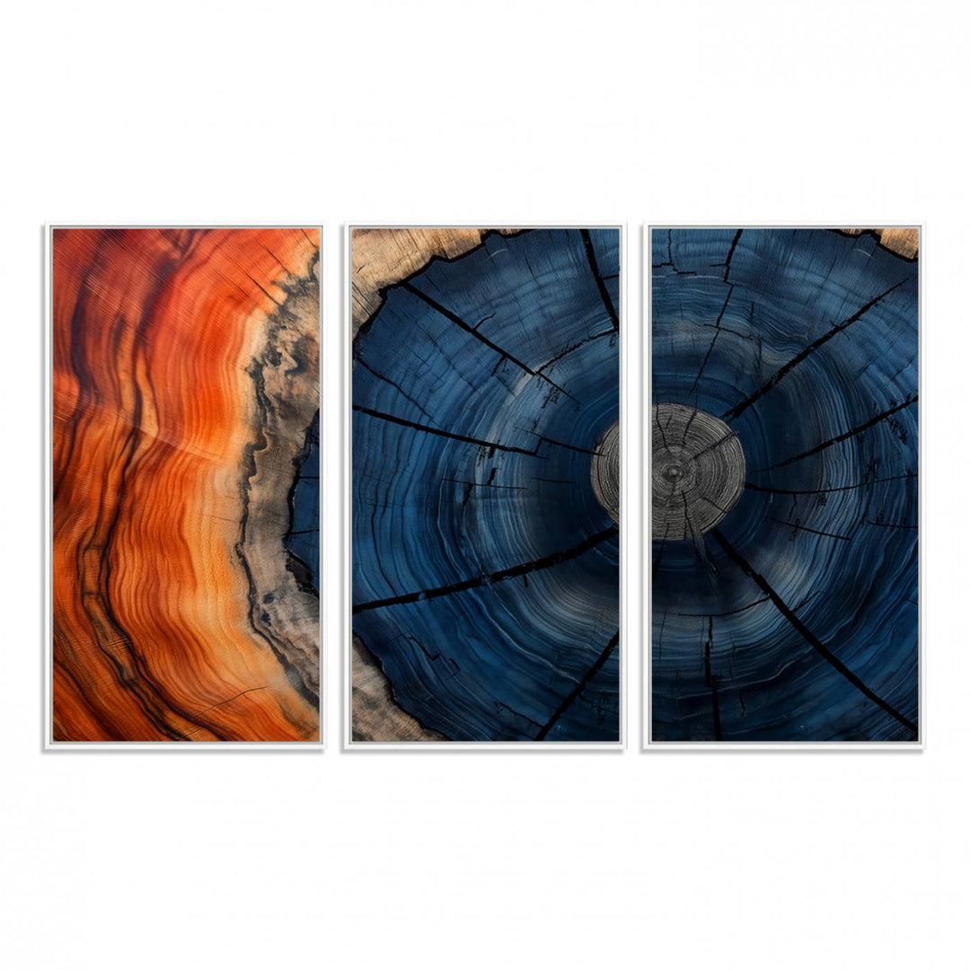 Abstract Tree Rings Canvas Print with vibrant colors—ideal farmhouse wall art for a woodland-themed home.